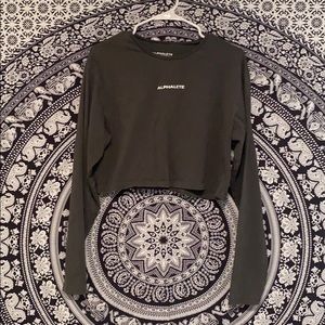 Activewear Alphalete long sleeve crop top